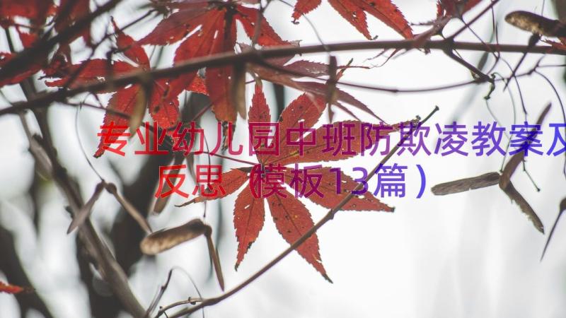 专业幼儿园中班防欺凌教案及反思（模板13篇）