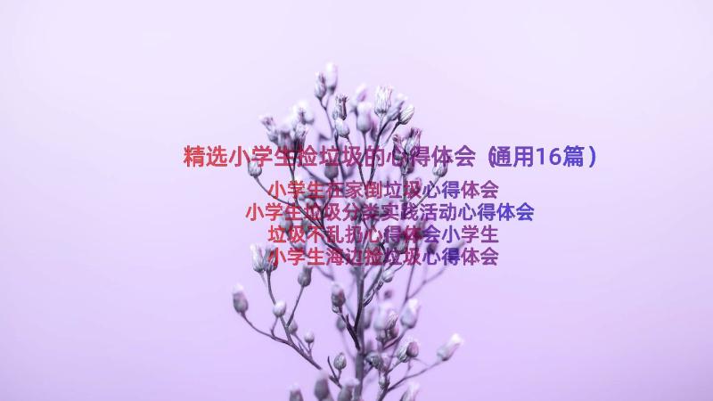 精选小学生捡垃圾的心得体会（通用16篇）