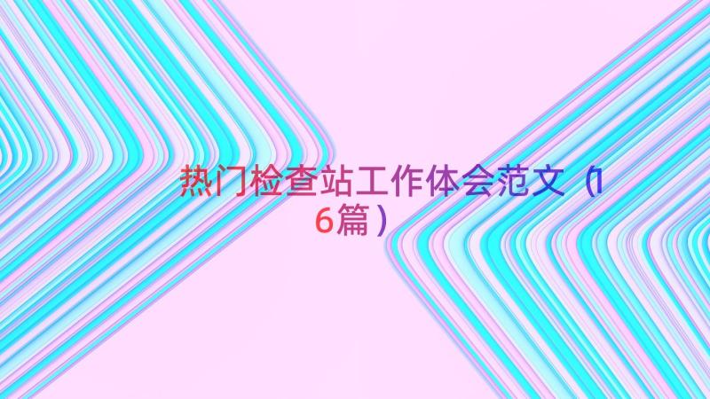 热门检查站工作体会范文（16篇）