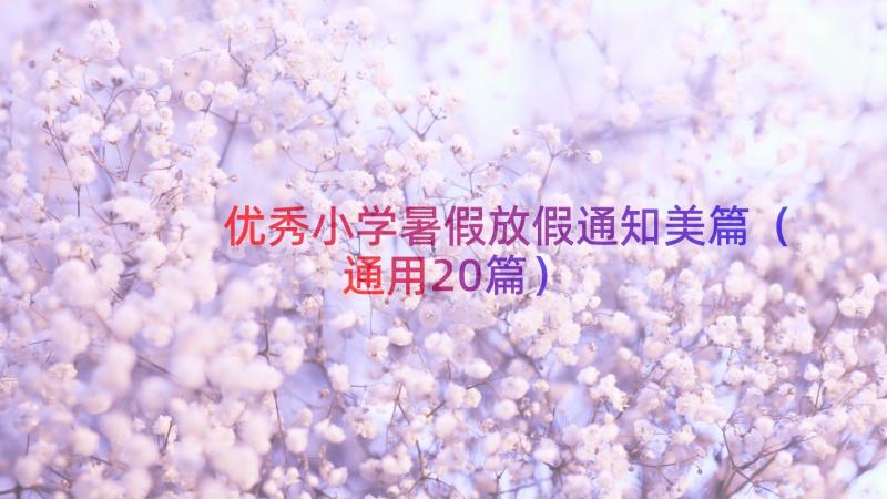 优秀小学暑假放假通知美篇（通用20篇）