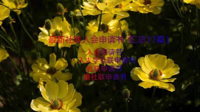 最新社联入会申请书（汇总17篇）