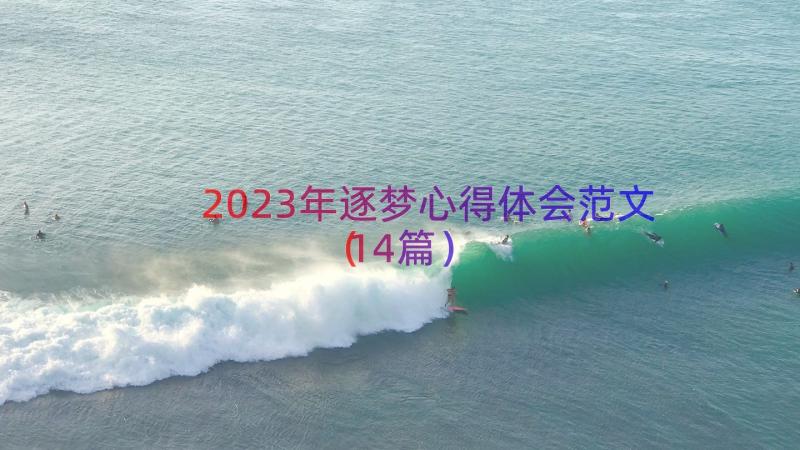 2023年逐梦心得体会范文（14篇）