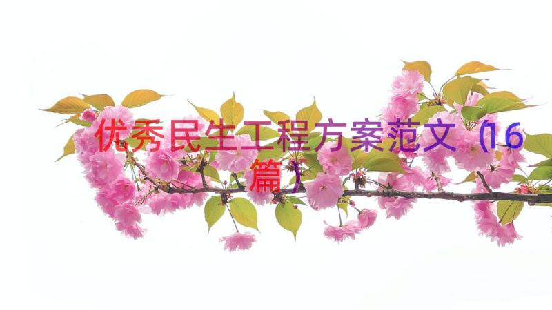 优秀民生工程方案范文（16篇）