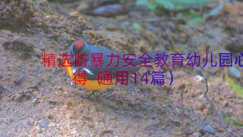 精选防暴力安全教育幼儿园心得（通用14篇）