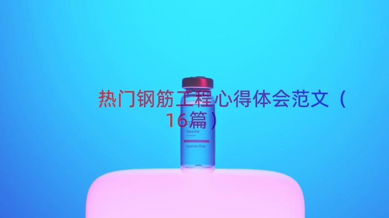 热门钢筋工程心得体会范文（16篇）