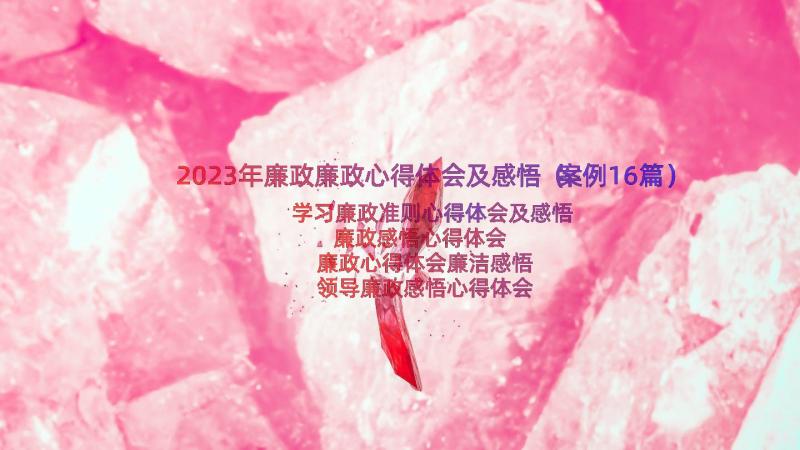 2023年廉政廉政心得体会及感悟（案例16篇）