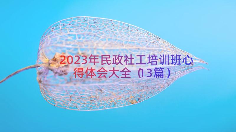 2023年民政社工培训班心得体会大全（13篇）