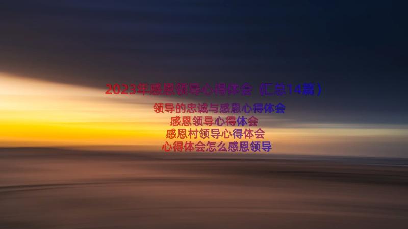 2023年感恩领导心得体会（汇总14篇）