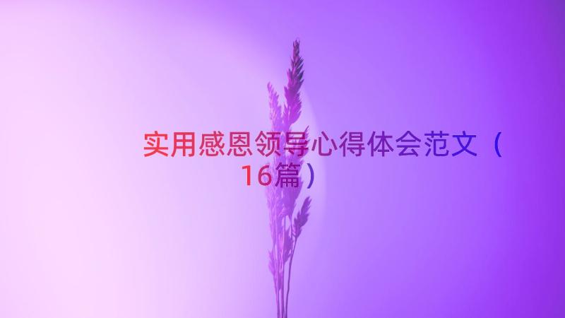 实用感恩领导心得体会范文（16篇）