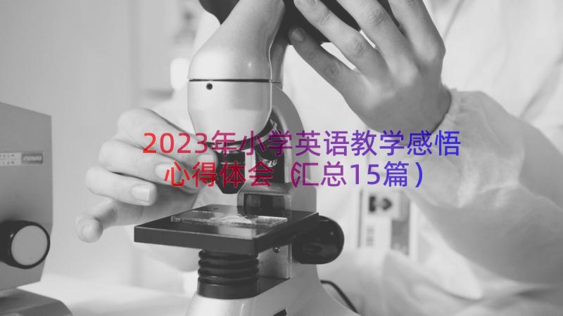 2023年小学英语教学感悟心得体会（汇总15篇）