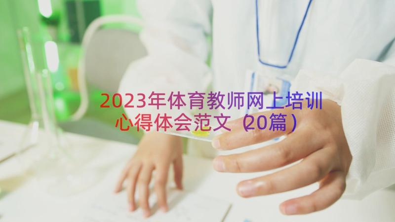 2023年体育教师网上培训心得体会范文（20篇）