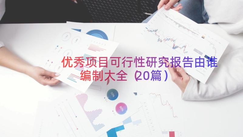 优秀项目可行性研究报告由谁编制大全（20篇）