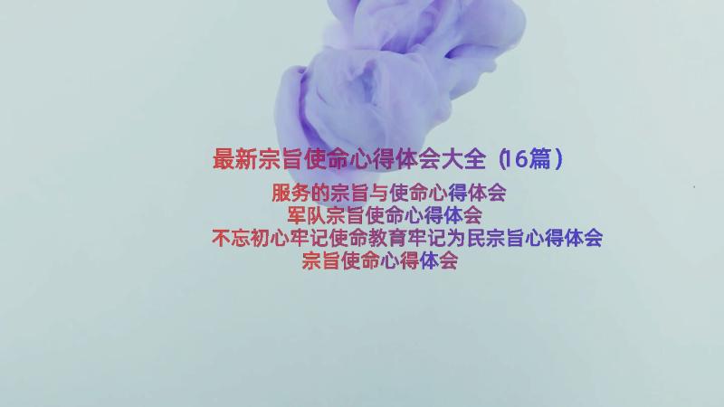 最新宗旨使命心得体会大全（16篇）