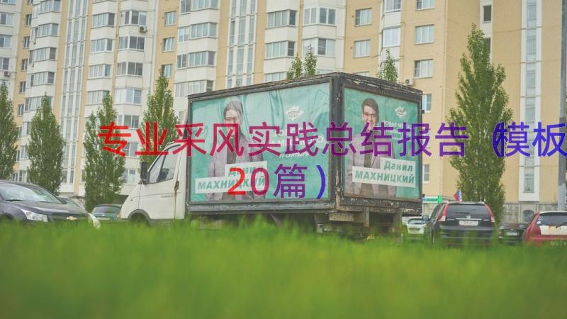 专业采风实践总结报告（模板20篇）