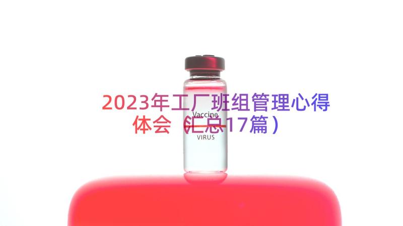 2023年工厂班组管理心得体会（汇总17篇）