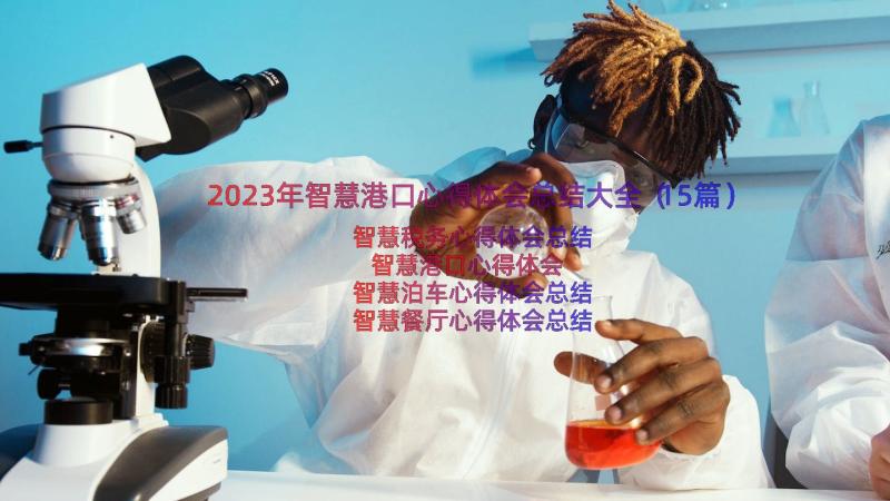 2023年智慧港口心得体会总结大全（15篇）