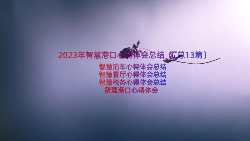 2023年智慧港口心得体会总结（汇总13篇）