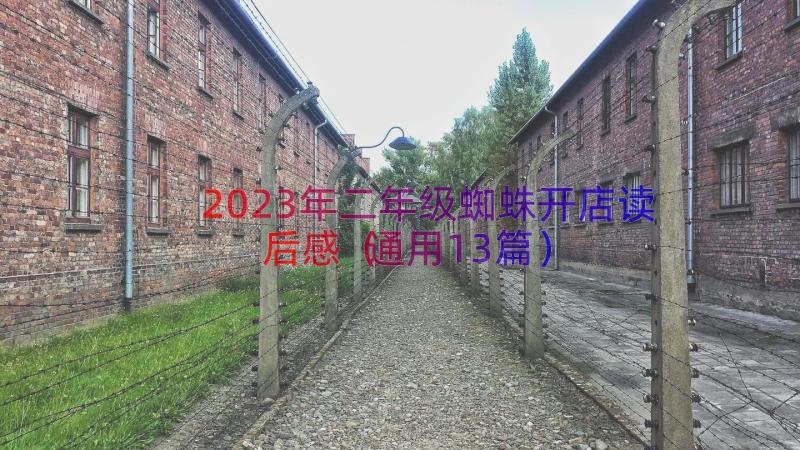 2023年二年级蜘蛛开店读后感（通用13篇）