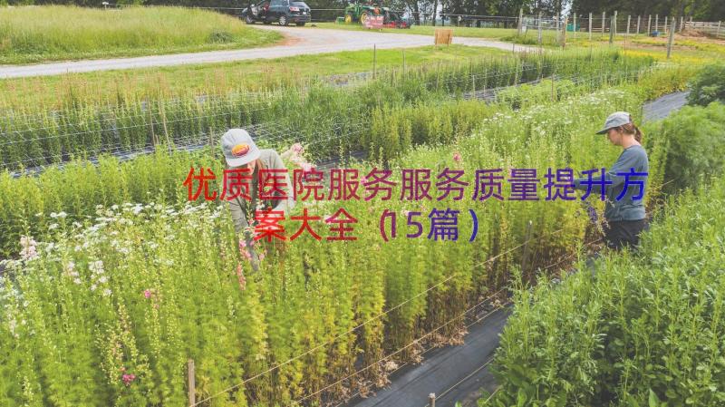 优质医院服务服务质量提升方案大全（15篇）