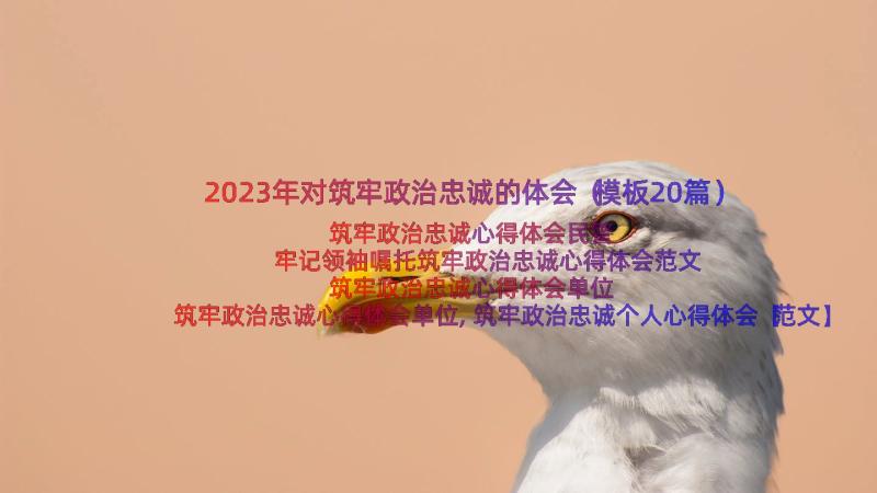 2023年对筑牢政治忠诚的体会（模板20篇）