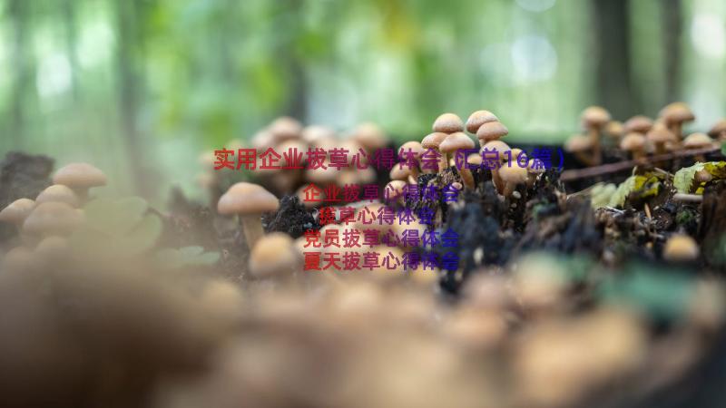 实用企业拔草心得体会（汇总16篇）