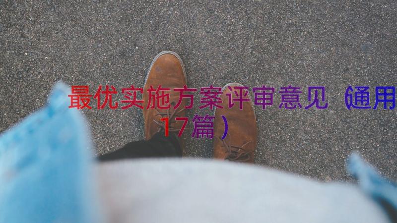 最优实施方案评审意见（通用17篇）