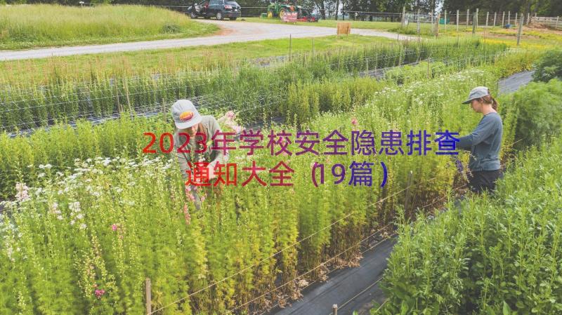 2023年学校安全隐患排查通知大全（19篇）