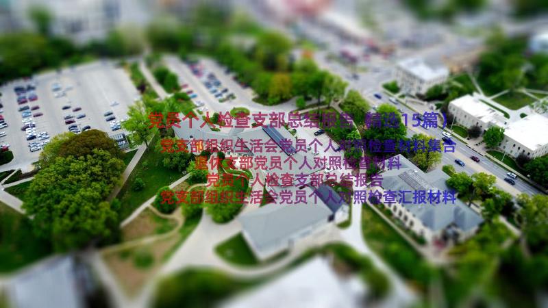 党员个人检查支部总结报告（精选15篇）