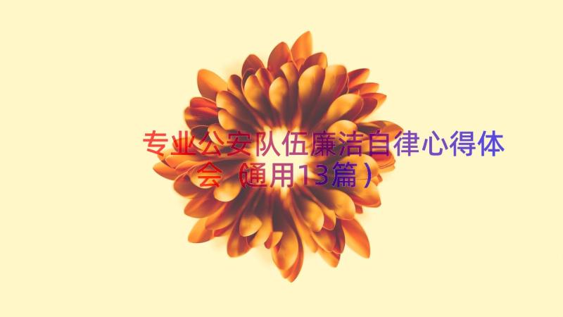 专业公安队伍廉洁自律心得体会（通用13篇）