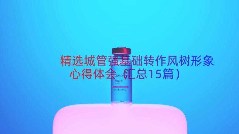 精选城管强基础转作风树形象心得体会（汇总15篇）