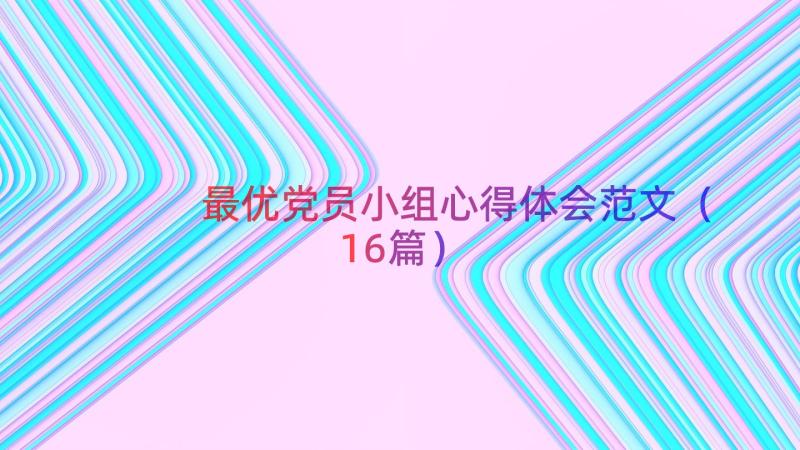 最优党员小组心得体会范文（16篇）