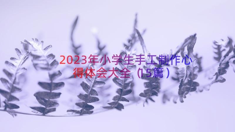 2023年小学生手工制作心得体会大全（15篇）