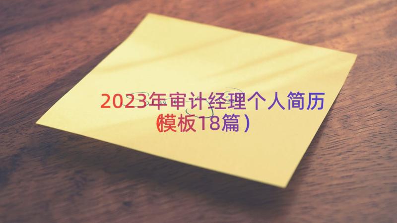 2023年审计经理个人简历（模板18篇）