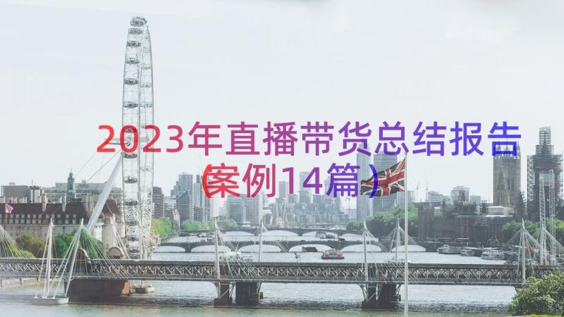 2023年直播带货总结报告（案例14篇）