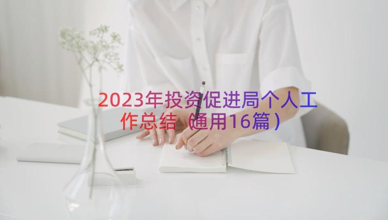 2023年投资促进局个人工作总结（通用16篇）