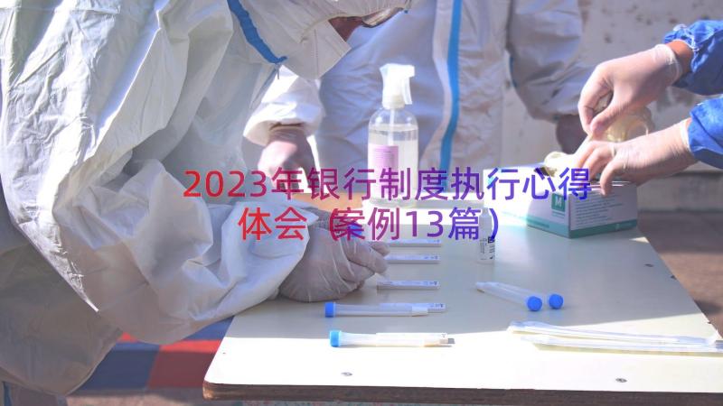 2023年银行制度执行心得体会（案例13篇）