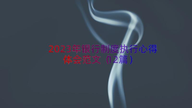 2023年银行制度执行心得体会范文（12篇）