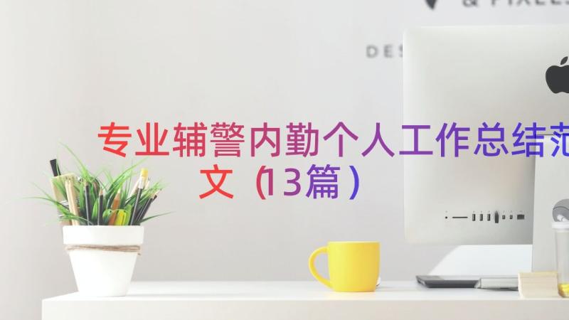 专业辅警内勤个人工作总结范文（13篇）