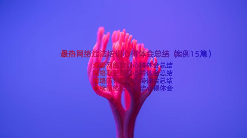 最热网络违法培训心得体会总结（案例15篇）