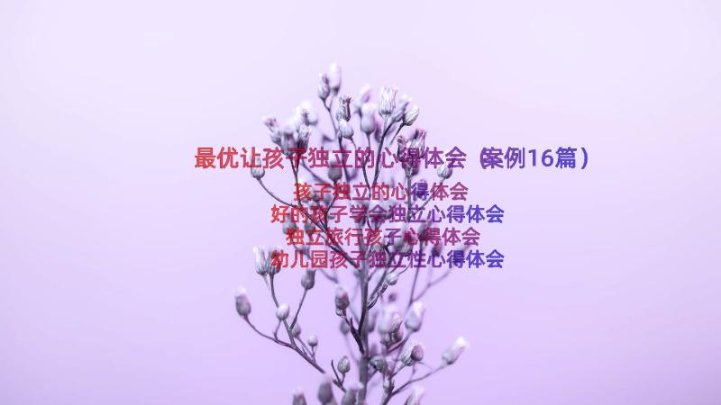 最优让孩子独立的心得体会（案例16篇）