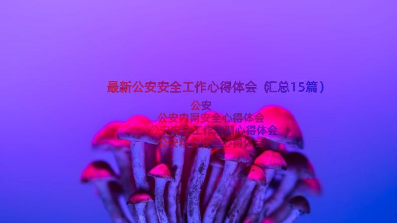 最新公安安全工作心得体会（汇总15篇）