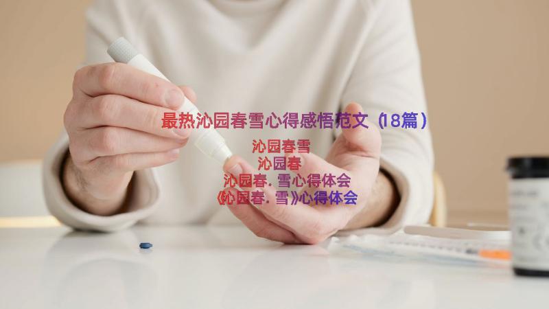 最热沁园春雪心得感悟范文（18篇）