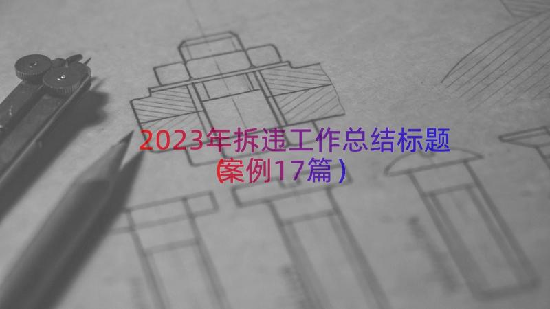 2023年拆违工作总结标题（案例17篇）