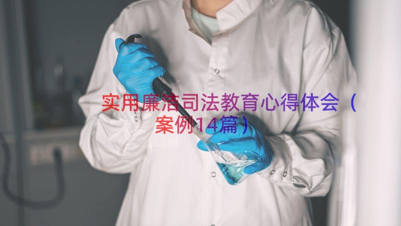 实用廉洁司法教育心得体会（案例14篇）