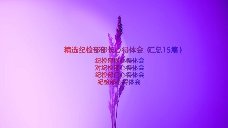 精选纪检部部长心得体会（汇总15篇）