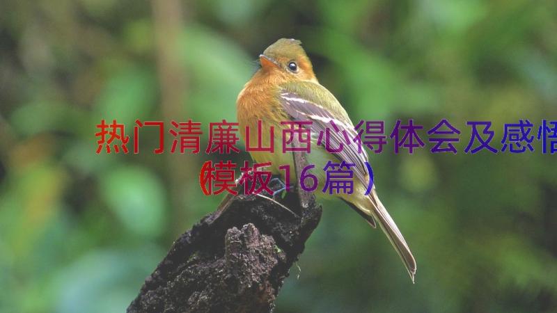 热门清廉山西心得体会及感悟（模板16篇）