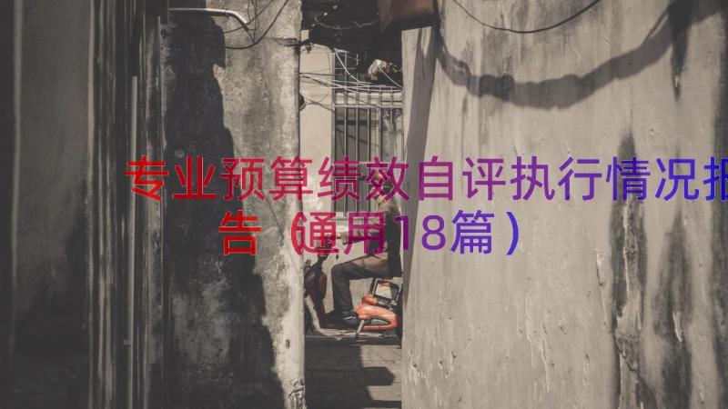 专业预算绩效自评执行情况报告（通用18篇）