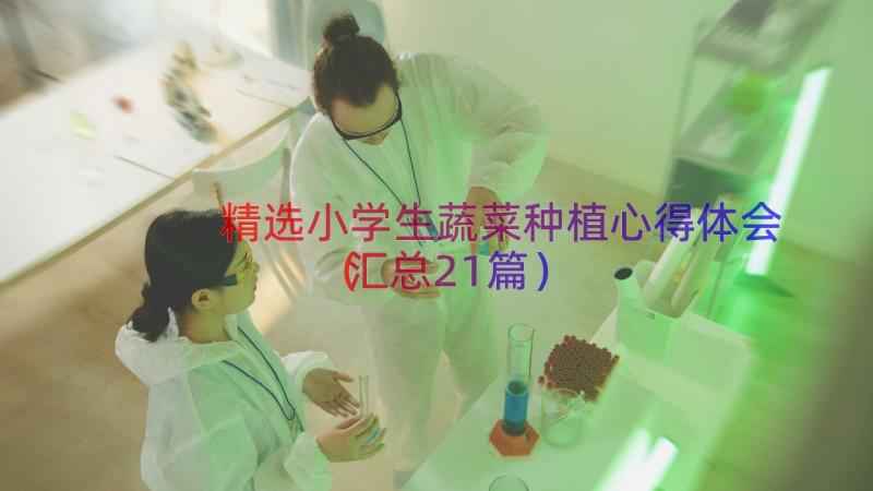 精选小学生蔬菜种植心得体会（汇总21篇）