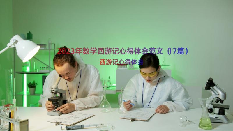 2023年数学西游记心得体会范文（17篇）