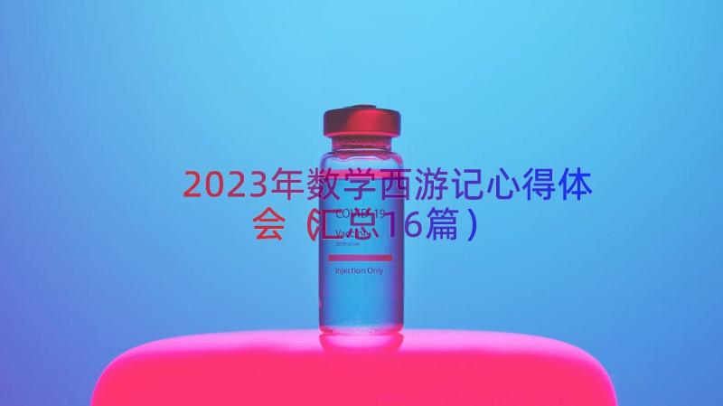 2023年数学西游记心得体会（汇总16篇）